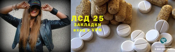 ПСИЛОЦИБИНОВЫЕ ГРИБЫ Новозыбков