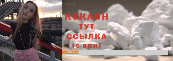 сатива Нягань