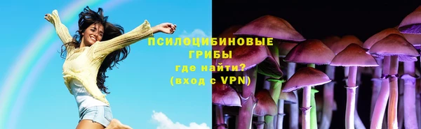 гашик Краснотурьинск