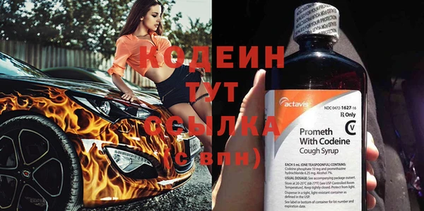 сатива Нягань