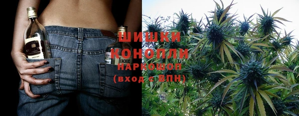 прущая мука Няндома