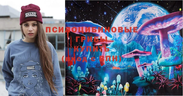 прущая мука Няндома
