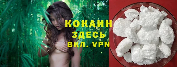 PSILOCYBIN Нязепетровск