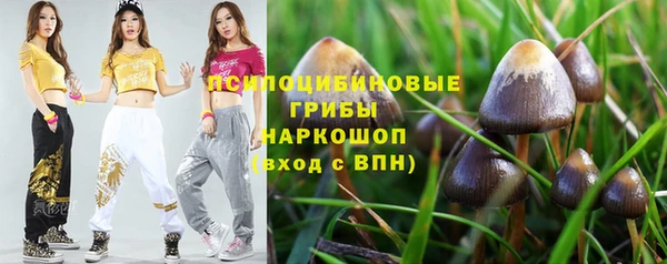 сатива Нягань