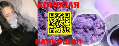 гашик Кимры