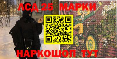 гашик Кимры