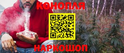гашик Кимры
